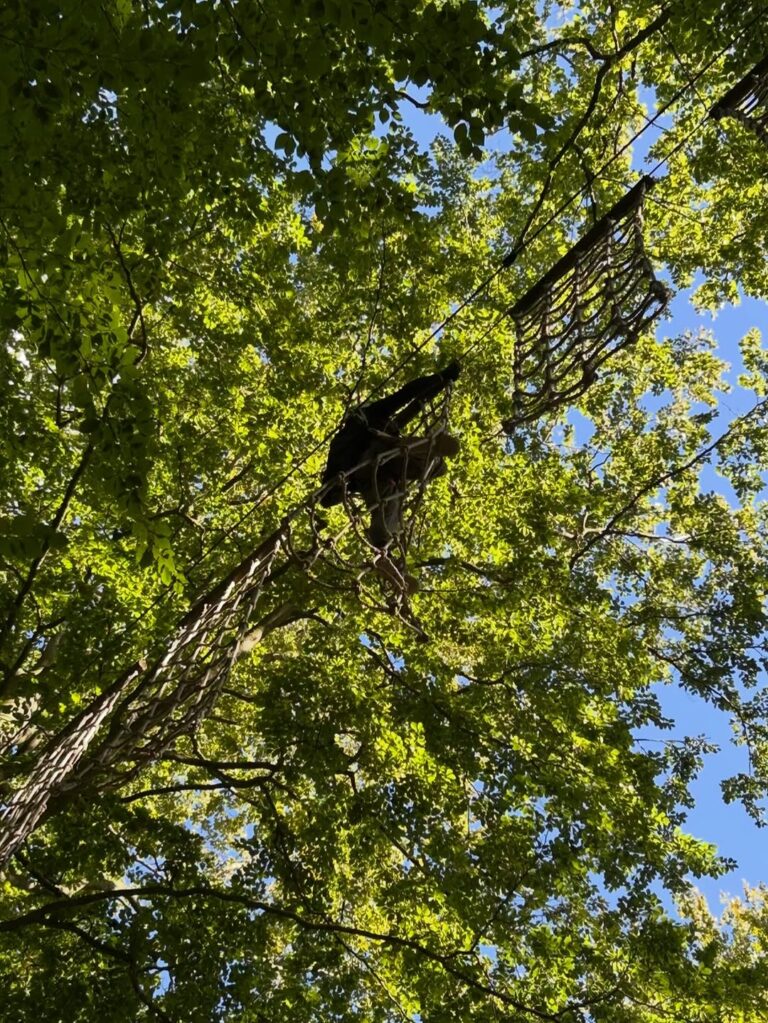 SnapInsta.to_541260694_18099200467626350_1690482121938611161_n